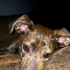 Meet your Posher, Stacy